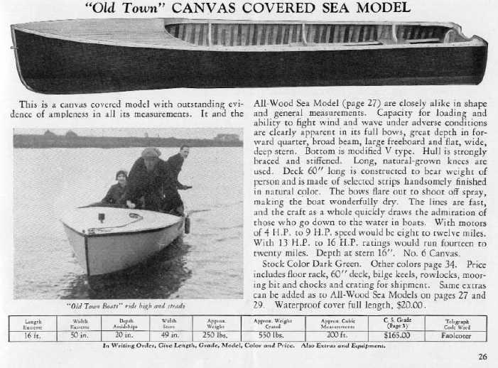 Cat-OT-26.jpg
